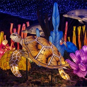 Bronx Zoo Holiday Lights