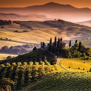 Go on a Wine Tasting Tour in a Renowned Wine Region