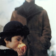 The Blue Angel Lounge - A Sea of Trees