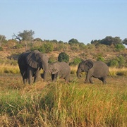 Cameia National Park, Angola