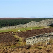 Grey Cairns of Camster