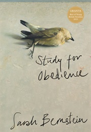 Study for Obedience (Sarah Bernstein)