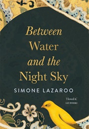 Between Water and the Night Sky (Simone Lazaroo)