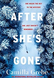 After She's Gone (Camilla Grebe)