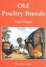 Old Poultry Breeds (Fred Hams)