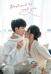 Destined to Meet You (2022)