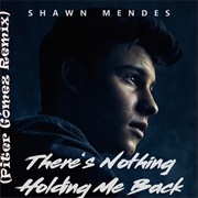 There's Nothing Holding Me Back - Shawn Mendes