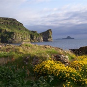 Treshnish Isles