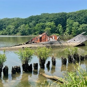 The Ghost Fleet of Mallows Bay