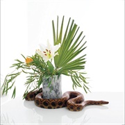 Noah Gundersen - WHITE NOISE