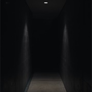 Lose a Disc in the Darkness