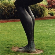 Aub Henk Visch, Rotterdam