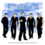 Flying Without Wings