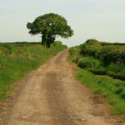 Fosse Way