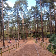 Go Ape, Bracknell