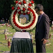 3. Pet Store/Maid Service