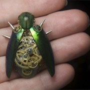 Darwin's Erector Set