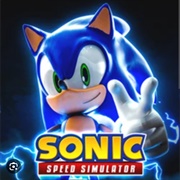 Sonic Speed Simulator