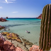 Isla Espiritu Santo, Mexico
