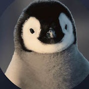 National Geographic Penguin