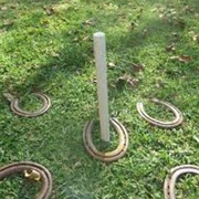 Play Horseshoes