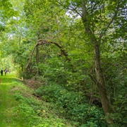 Milan Towpath Metropark