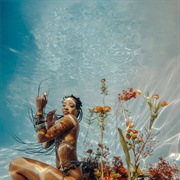 Jamila Woods- Tiny Garden