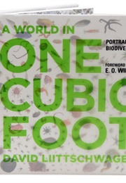 A World in One Cubic Foot (David Liittschwager)