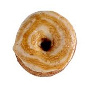 Five Daughters Bakery Salted Caramel Apple Donut