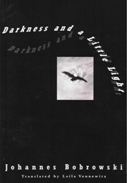 Darkness and a Little Light (Johannes Bobrowski)