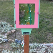 Hypnotic Turtle Dreambox