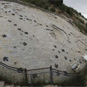 Dinosaur Ridge