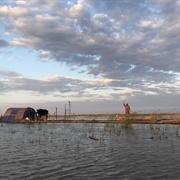 Suq Al-Shuyukh, Iraq