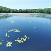 Wonder Lake State Park, New York