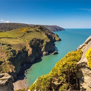 Cliffs of Devon, England