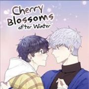 Cherry Blossoms After Winter