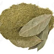 Ground Bay Leaf