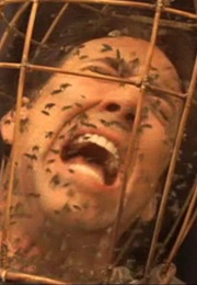 The Wicker Man ("My Eyes, My Eyes!") (2006)