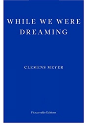 While We Were Dreaming (Clemens Meyer)
