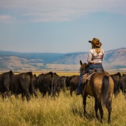 V Bar Guest Ranch, Laramie, WY