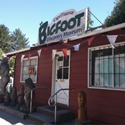 Bigfoot Discovery Museum