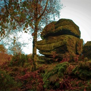 Hardcastle Crags, Near Hebden Bridge, West Yorkshire, England
