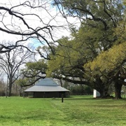 Cane River Creole National Historical Park