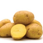 Yukon Gold Potato in Yukon, Canada