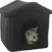 Cat House Inside