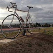 Taupo Giant Bike