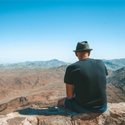 Enjoys Their Alone Time