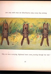 Topsys and Turvys - 3