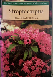 Streptocarpus (Rex and Gareth Dibley)