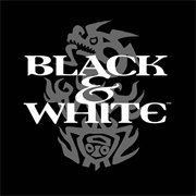 Black & White (1999)